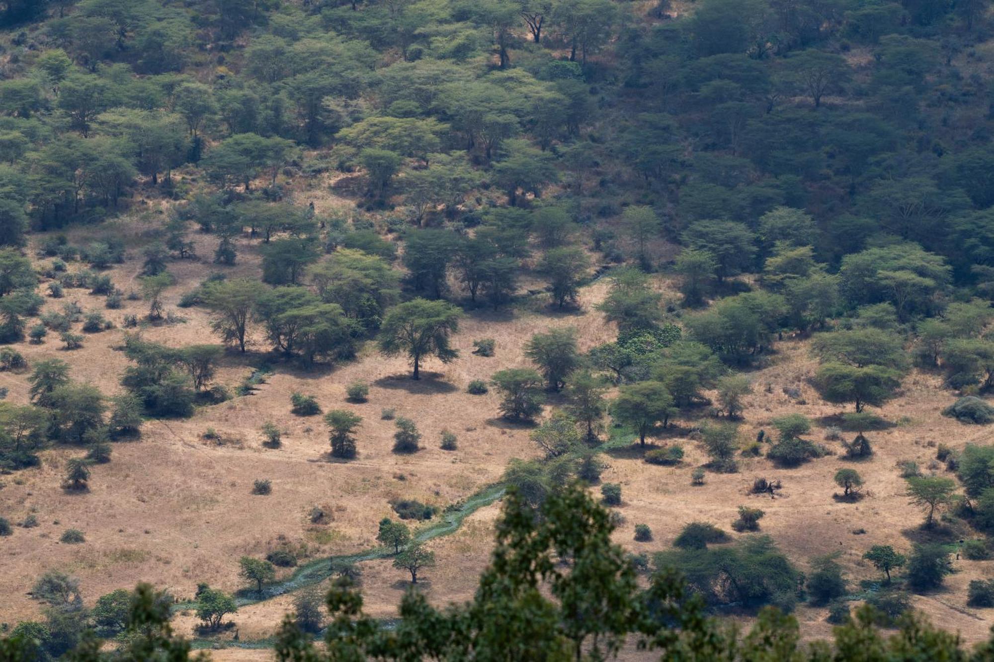 Ngorongoro Lodge Member Of Melia Collection - The Leading Hotels Of The World Ngoại thất bức ảnh
