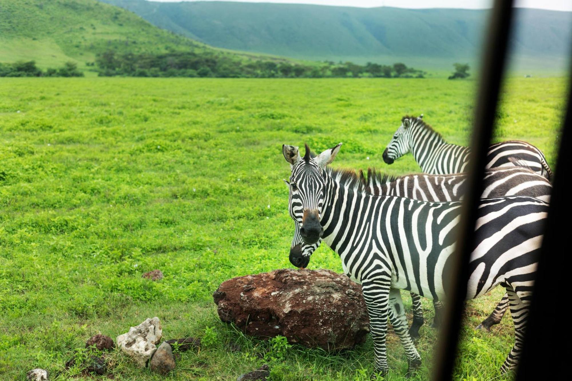 Ngorongoro Lodge Member Of Melia Collection - The Leading Hotels Of The World Ngoại thất bức ảnh