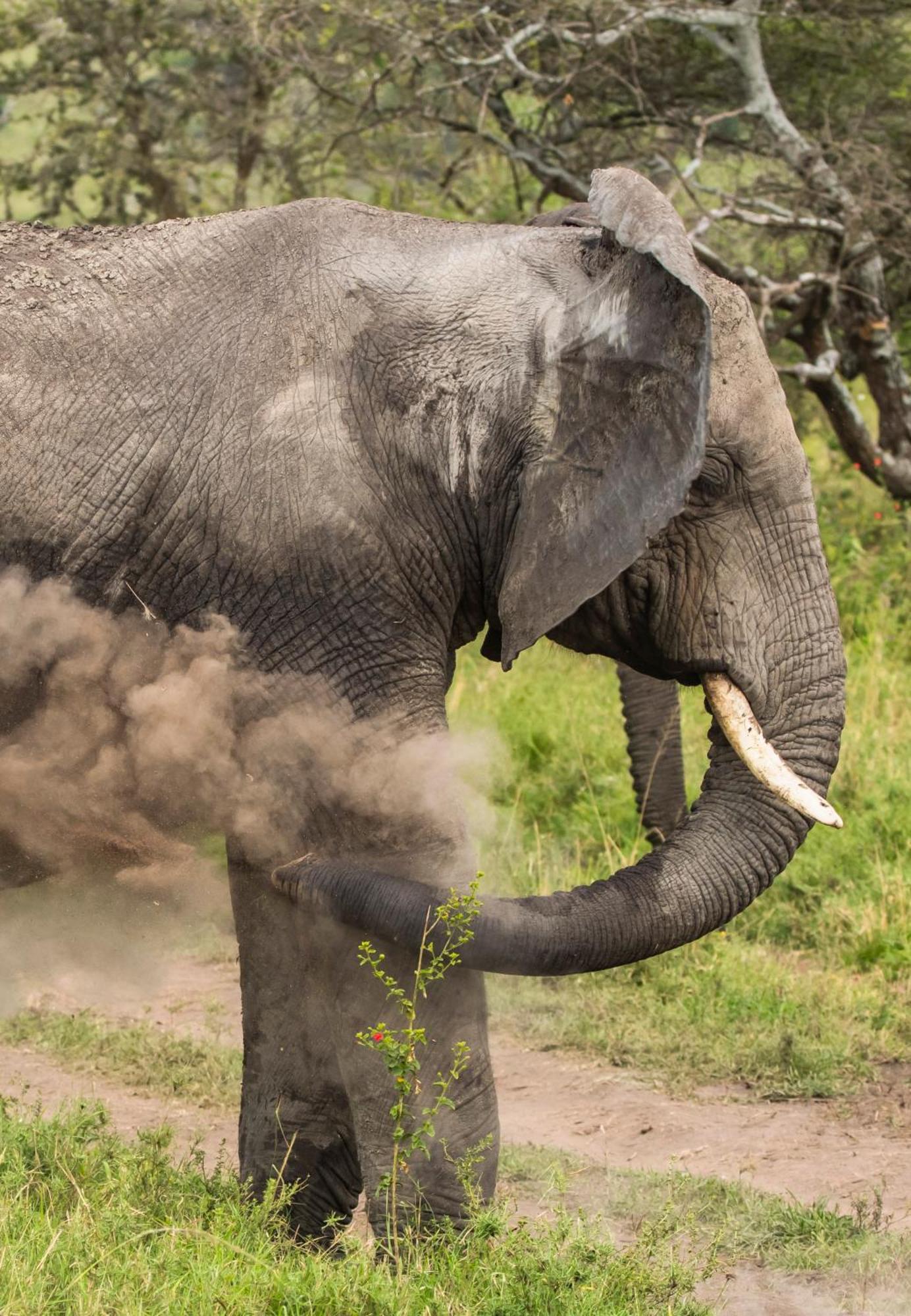 Ngorongoro Lodge Member Of Melia Collection - The Leading Hotels Of The World Ngoại thất bức ảnh